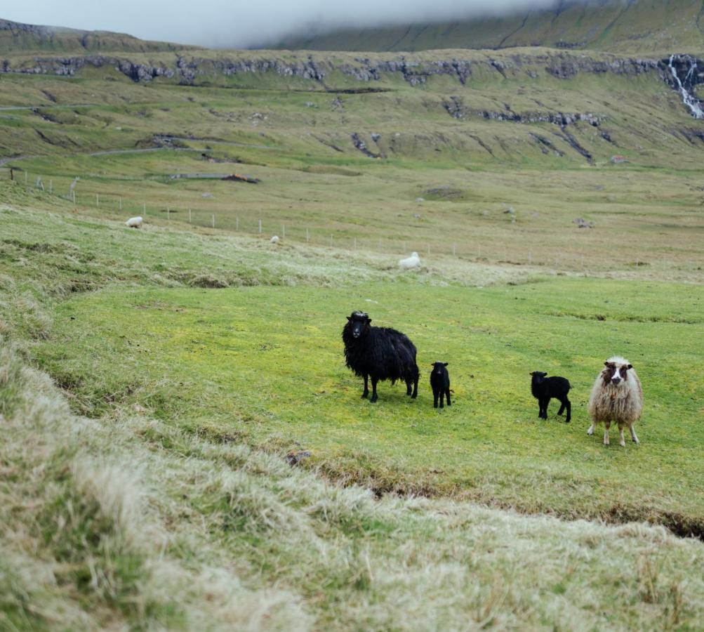 Authentic Faroese House / Unique Location / Nature Hellurnar Εξωτερικό φωτογραφία